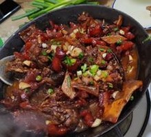 Dry Pot Softshell Turtle