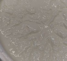 Sugar-Free Double-Yolk Custard