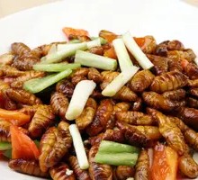 Salted Pepper Silkworm Pupae