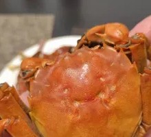 Female Yangcheng Lake Crab