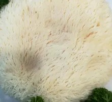 Monkey Head Mushroom