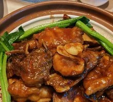 Two Ways Tiger Grouper