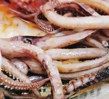 Signature Squid