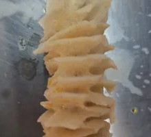 Thousand Leaf Magic Belly