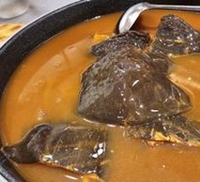 Stewed Softshell Turtle