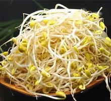 Mung Bean Sprouts