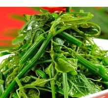 Bamboo Shoots with Eggplant