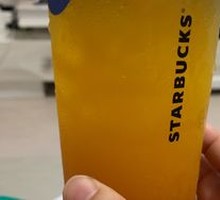 Orange Grapefruit Party