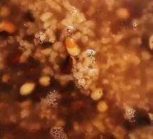 Red Bean and Rice Porridge