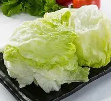 Lettuce Duo Mix