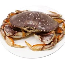 Fresh珍宝蟹