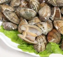 Fresh Clam