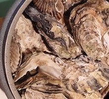 Freshly Opened Oysters