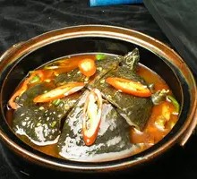 Braised Turtle with Red Sauce