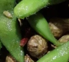 Flower and Hair Whole