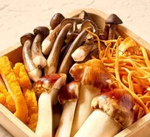 Mushroom Delight