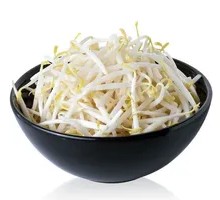 Bean sprouts