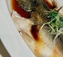 Steamed Fresh Sea Bass