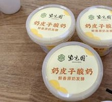Creamy Milk Yogurt