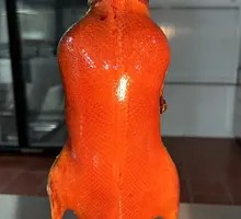 Casseroled Roast Duck