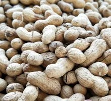 Small Peanuts