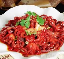 Spicy Octopus