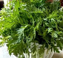 Chinese chrysanthemum greens