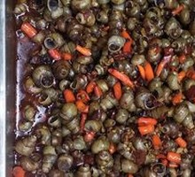 Spicy Water Snail