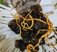 Health-Promoting Mushroom Assortment