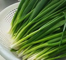 Scallion