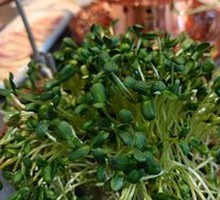 Live Fresh Snap Pea Shoots