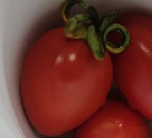 Cherry Tomato