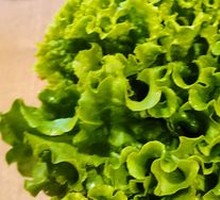 Lettuce