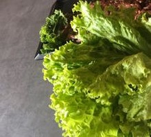 Lettuce