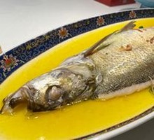 White-Striped Fish in Waves