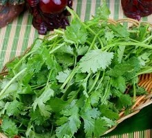 Crispy Tofu Rolls with Cilantro