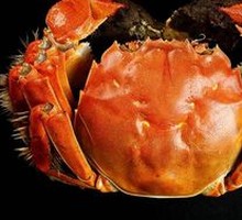 Yangcheng Lake Crab
