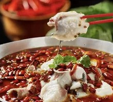 Freshwater River Catfish from Three Rivers