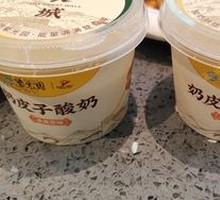 Creamy Milk Yogurt