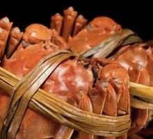 Freshwater Crab