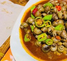 33-Spice Snail