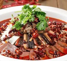 Premium Maoxuewang