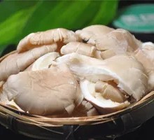Enoki Mushroom
