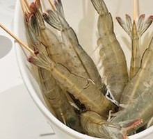 Signature South American Shrimp