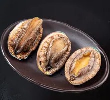 Fresh Abalone