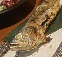 Yellow-finned Fish