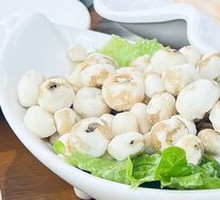Hailing Island Pearl Water Chestnut