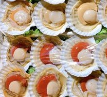 Large Scallop