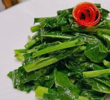 Stir-fried Isatis Root Sprouts