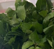 Watercress